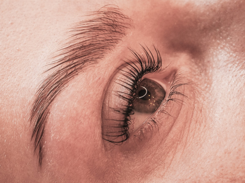 Augenbrauen und Wimpern - Nachher